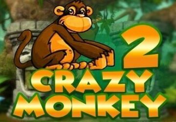 2 player games crazy monkey